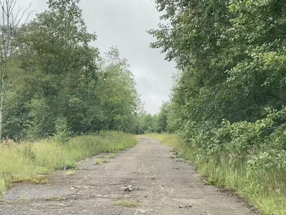 А так выглядит эта дорога сейчас.