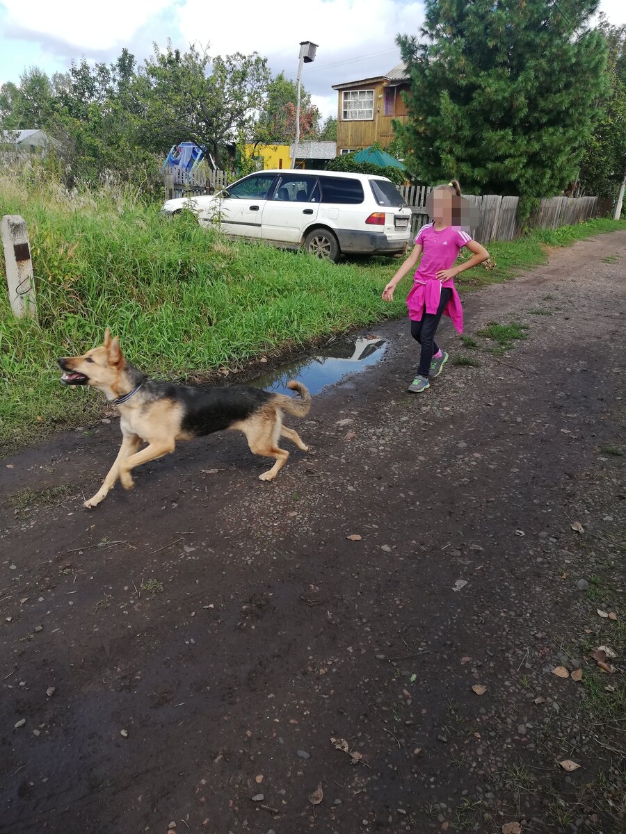 Джесси играет с нашей соседкой