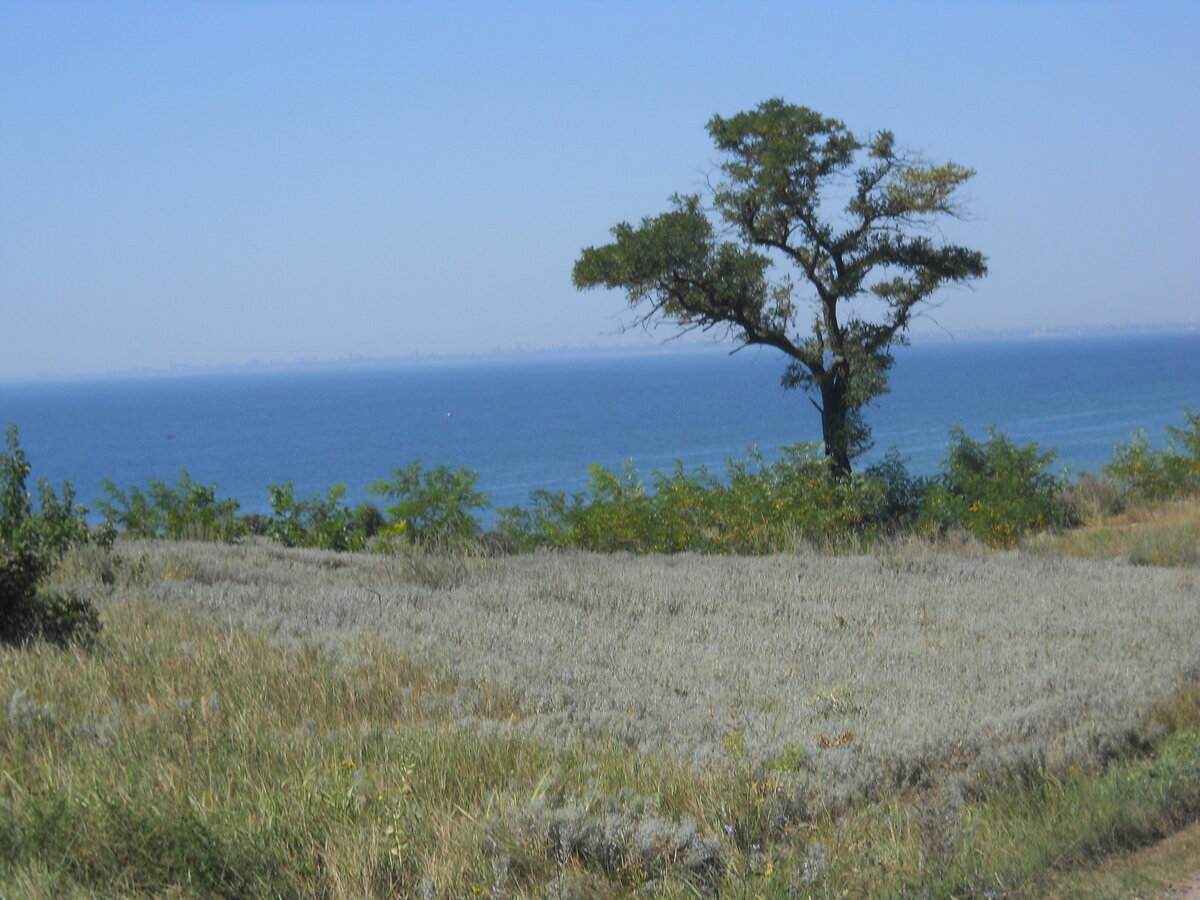 говорят, иммунитет укрепляет море...