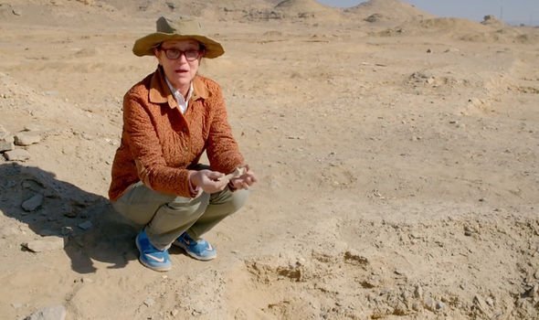 Доктор Рене Фридман. Фото: https://www.express.co.uk/news/world/1320259/egypt-archaeology-hierakonpolis-forgotten-city-found-ancient-zoo-burial-pharaohs-spt