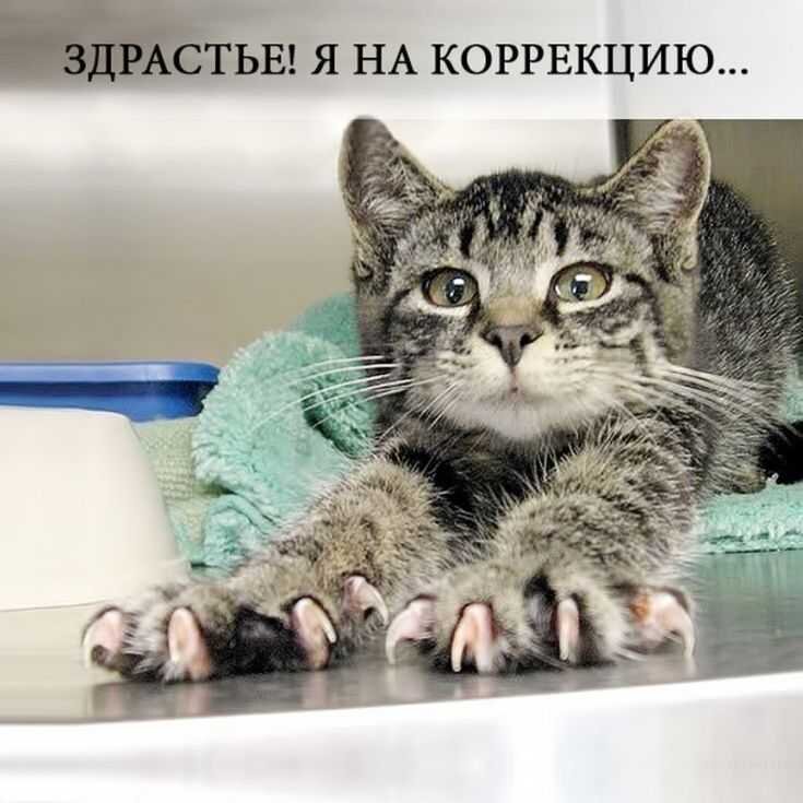 Пинтерест