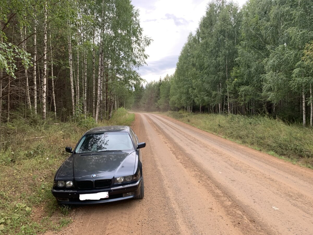 Да, и на такой машине можно ездить за грибами. 