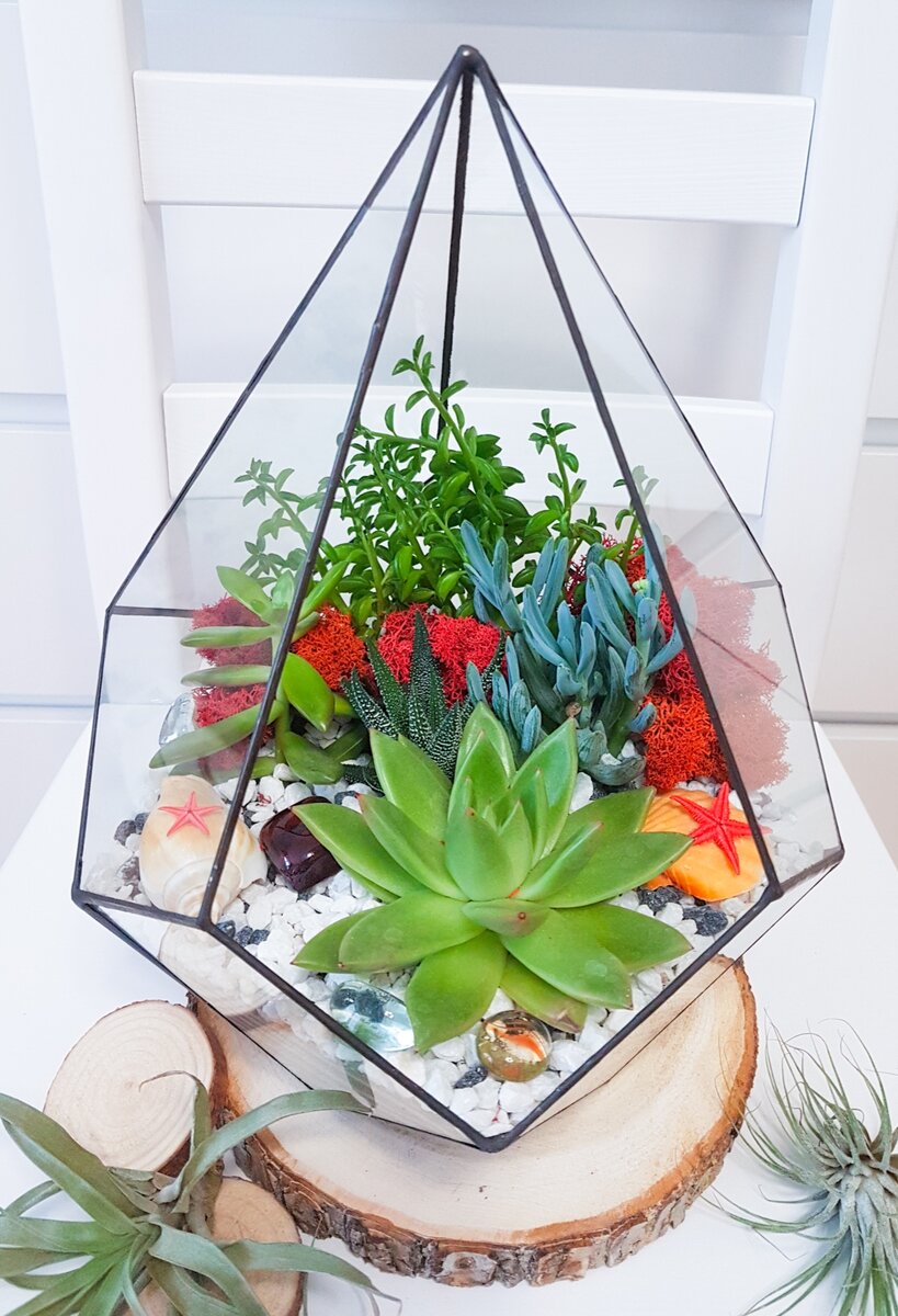 Как в такой можно не влюбиться?