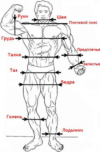 Замеры тела для трансформации тела
