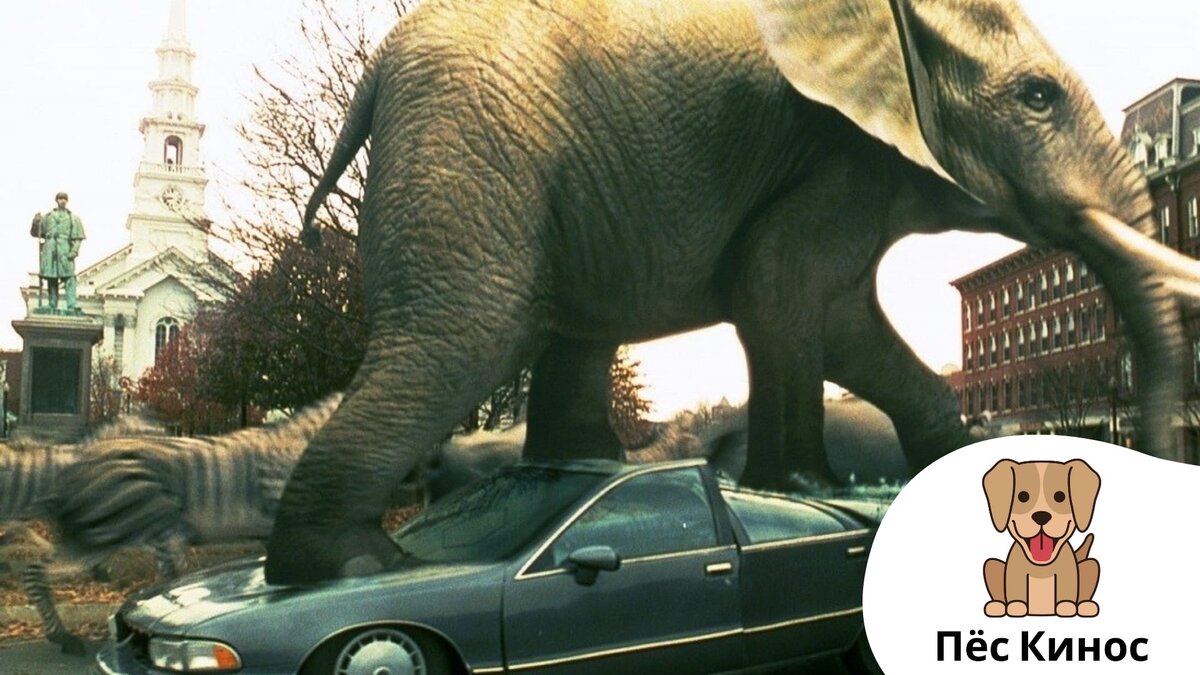 Кадр из фильма Джумандж