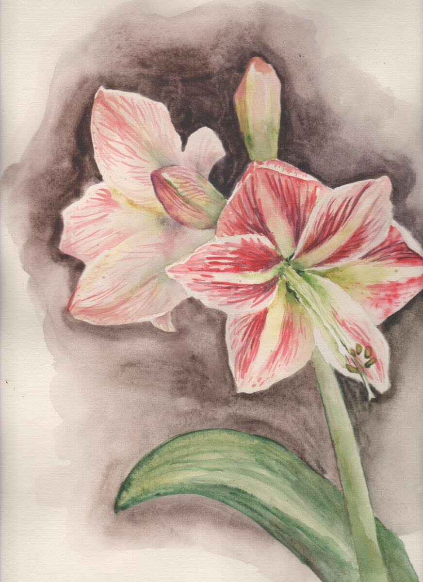 Акварель, бумага А3