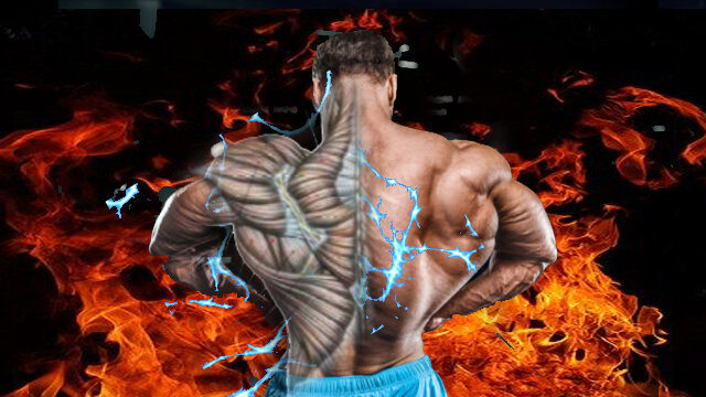 Источник: httpspixabay.com 