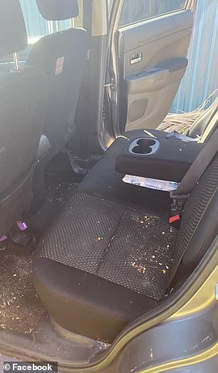 Фото машины До