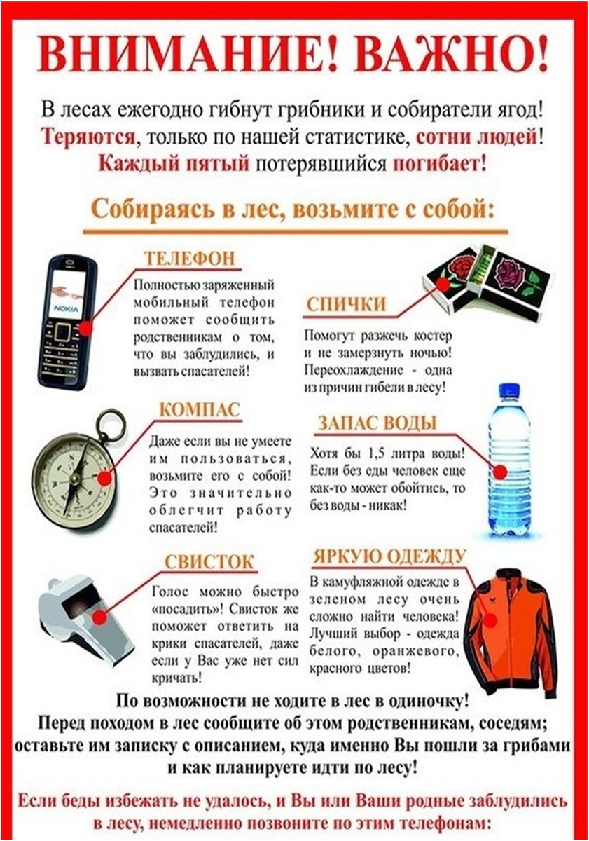 Чтоб не заблудиться в лесу. Не потеряться в лесу памятка. Памятку " если человек заблудился в лесу". Памятка для заблудившихся в лесу. Памятка для детей если заблудился в лесу.