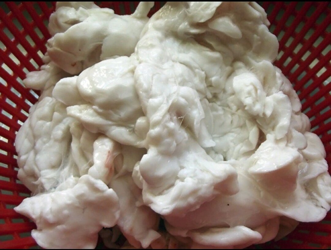 Целебные свойства нутряного жира животных известны с древних времен. Его применяли для лечения простудных заболеваний, ожогов, обморожений и даже смертельно опасного туберкулеза. Исследования современных ученых подтвердили ценные качества козьего жира. 
 
Козий жир – это перетопленное нутряное сало коз. Иногда, правда, козьим жиром называют масло, сбитое из козьего молока. И тот, и другой продукт отличаются исключительно полезными для здоровья свойствами, хотя могут обладать неприятным вкусом и запахом. 
 
Масло из козьего молока содержит все витамины группы В, витамины А, С, D, E, полиненасыщенные жирные кислоты, лактоферменты, коэнзимы и микроэлементы Ca, K, Mg, Se, Zn. Благодаря этому в народной медицине козье масло используется не только для лечения многих заболеваний, но и как эффективное косметическое средство. 
 
Нутряной козий жир с давних пор применяется в качестве лекарства при простуде и кашле, при заболеваниях суставов, кожи и др. 
 
Необходимо учитывать, что качество жира напрямую зависит от того, какого возраста и пола животное