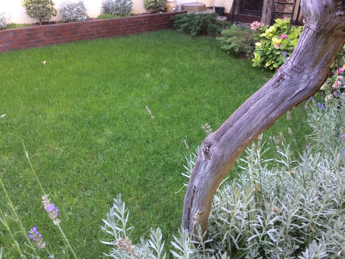 С телефона фото кажутся не очень, в живую другая картина, конечно