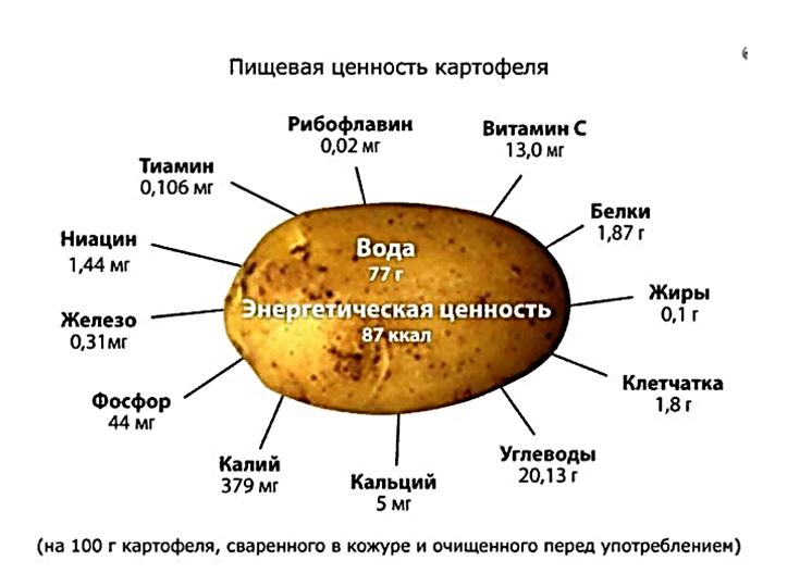 Источник: Яндекс картинки