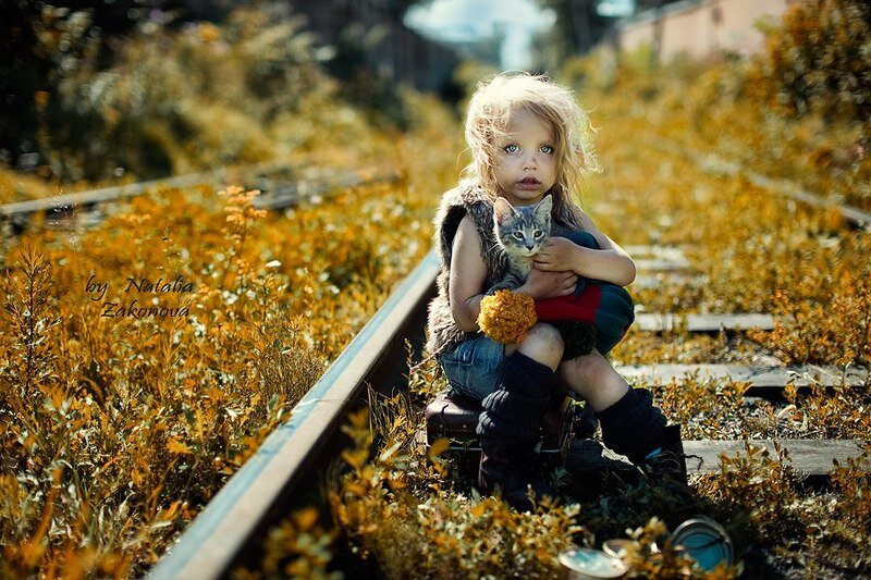 Источник фото: yandex.ua