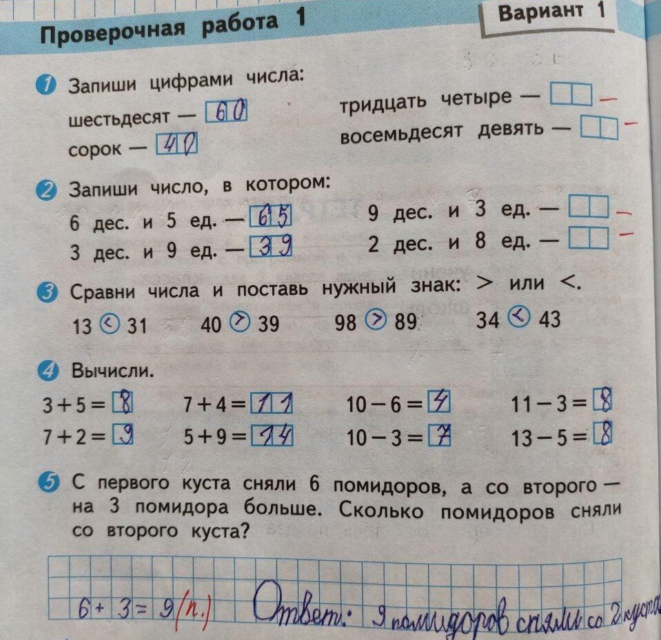 Примерно так на помидорах я учу сына считать лимоны.