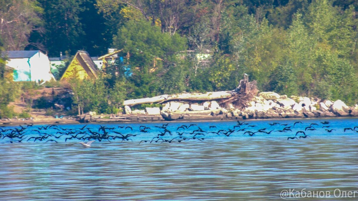 Фото из личного альбома брата.