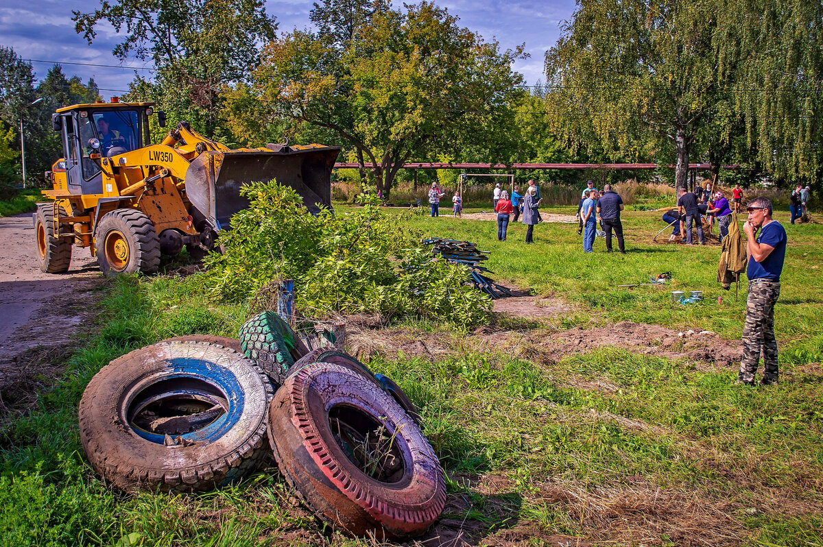 Ликвидация поросли американского клена