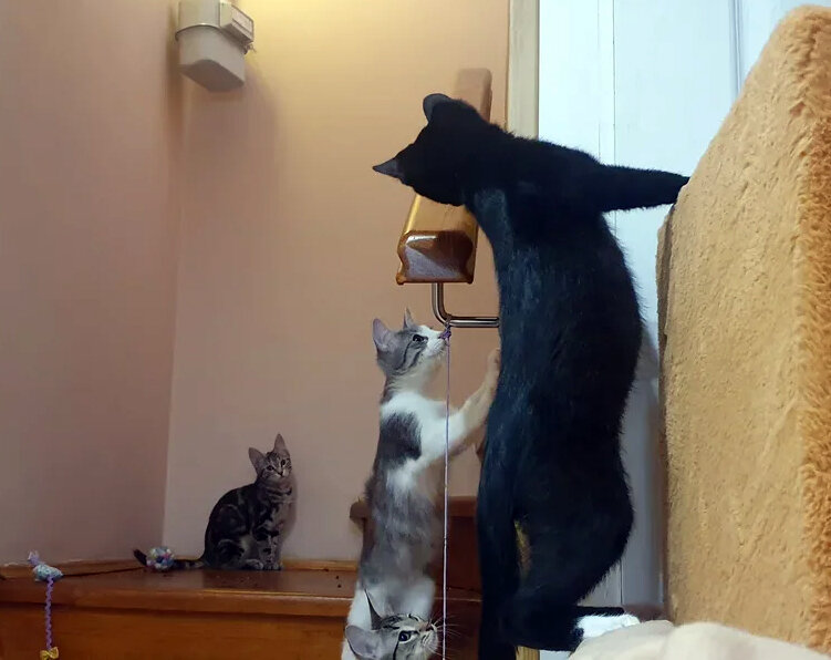 Архивное фото