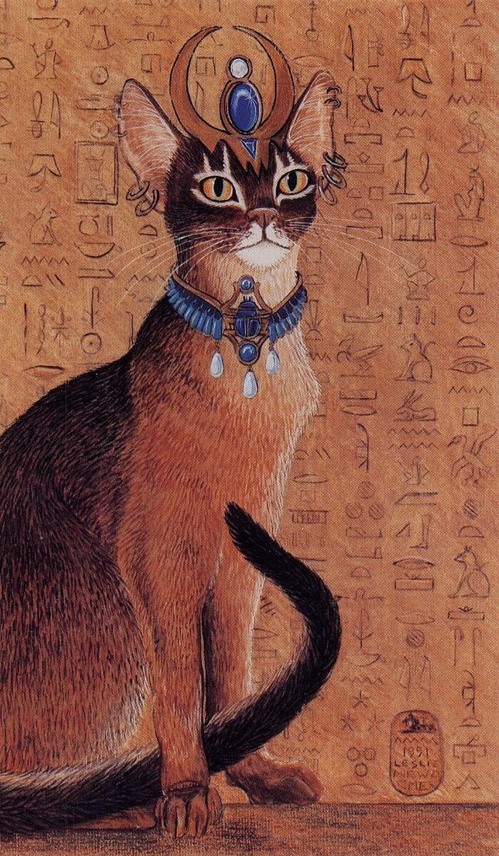 Кошки появились на Земле раньше собак и многих животных, которые стали домашними, но одними из последних были одомашнены.