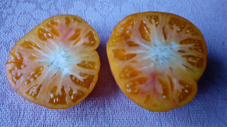 Помидоры на семена. Фото автора