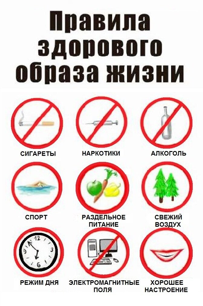 Здоровый образ жизни