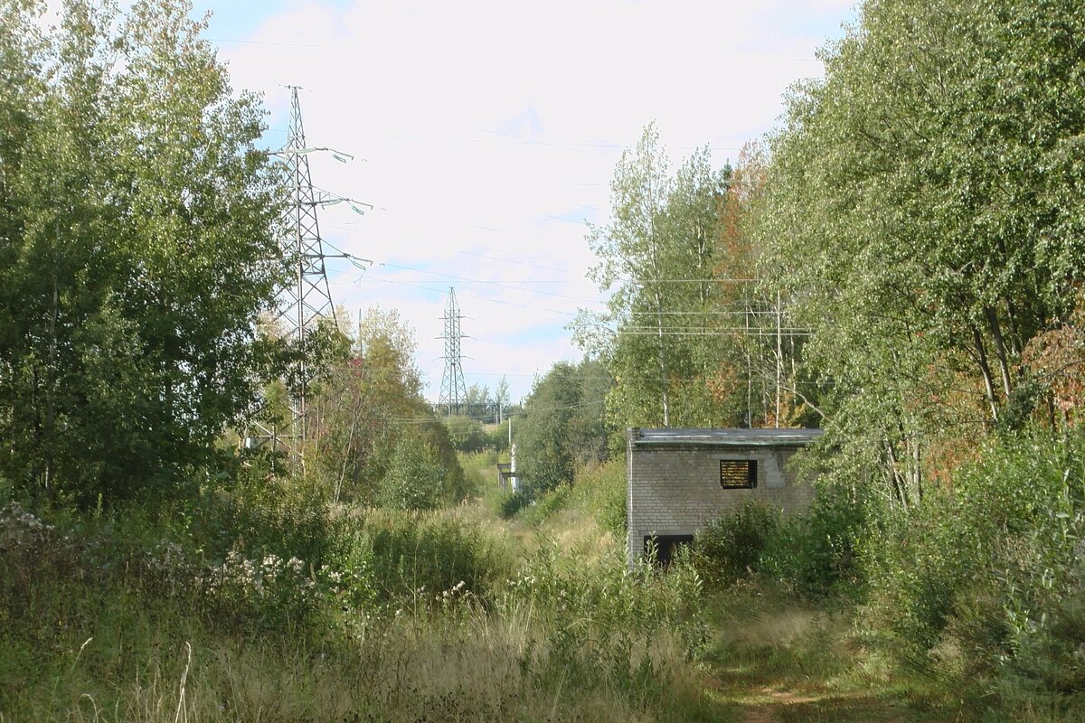 Фото из личного архива