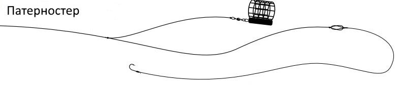 Фото из Яндекс Картинки