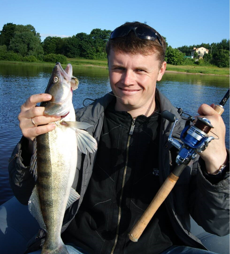 Волховецкий судак