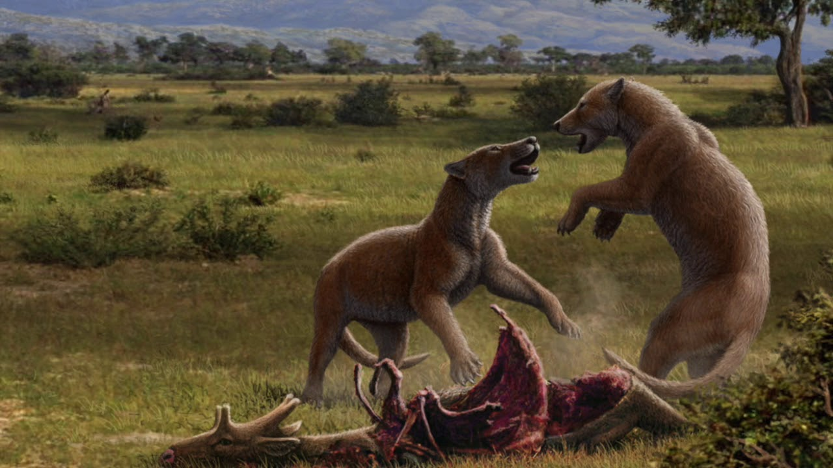 С братом дерётесь за последнюю пироженку.