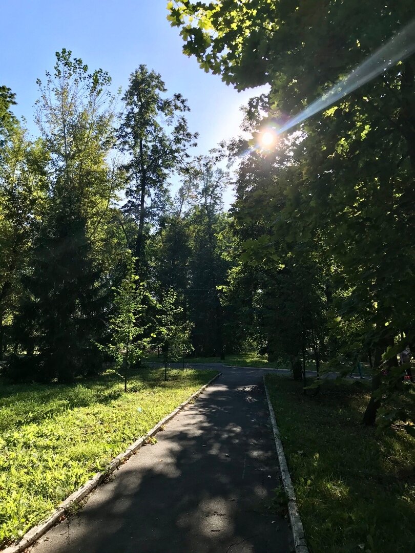 Прогулка в парке - отличное решение для отдыха.