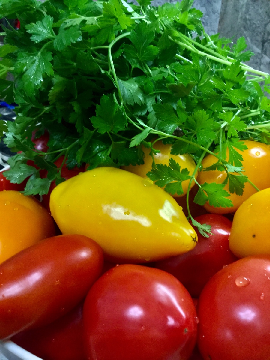 Нам понадобится петрушка и помидоры