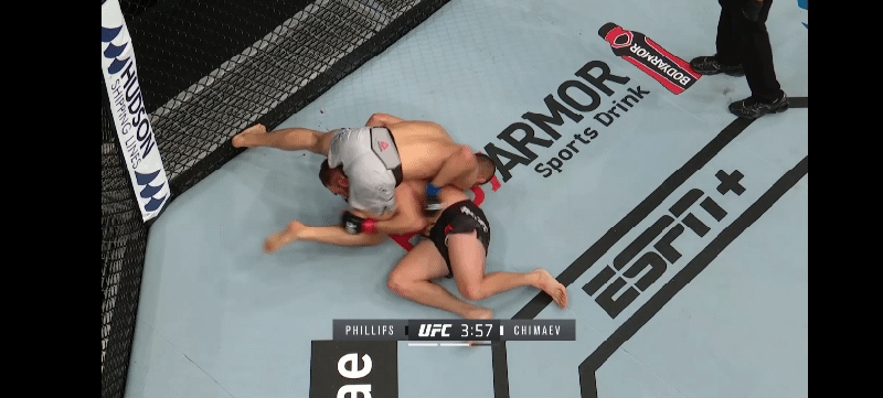 – В пасти аллигатора.