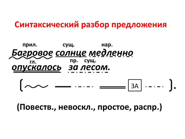 Ольга Ушакова: Морфологический разбор слова