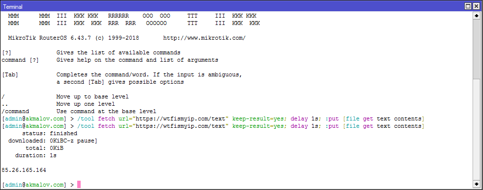 RouterOS print public IP address