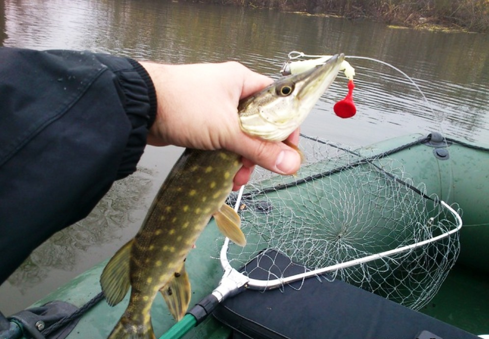 Ловля щуки на воблер. Щука в сетях. Снасть на щуку спиннинг. Раттлин на щуку. Щука в сетях.