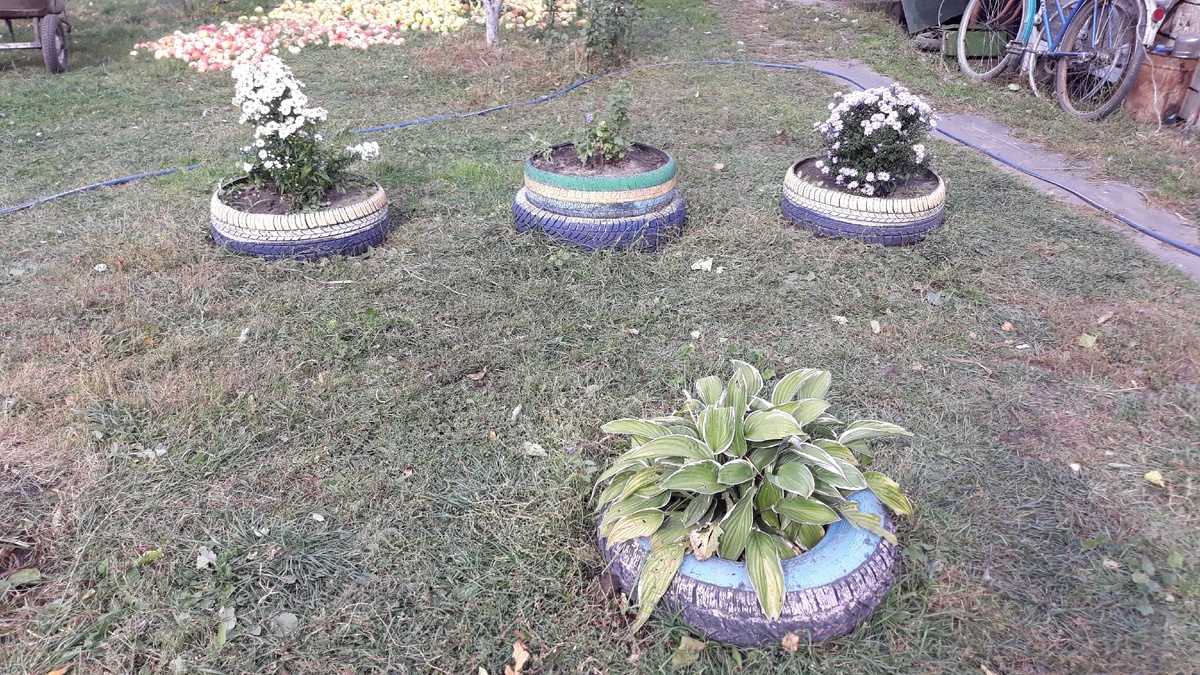 Палисадник у входа.