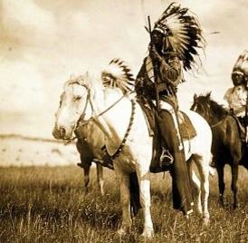 Палыч Net "выходит на тропу войны" ))