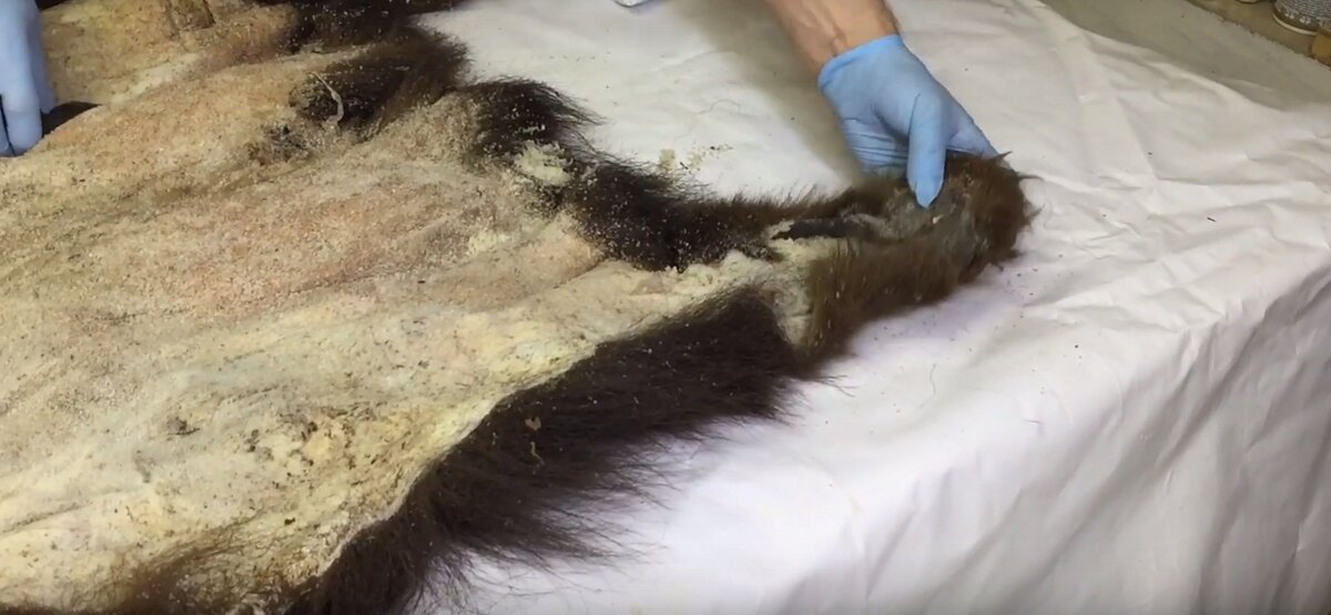 Открытый источник