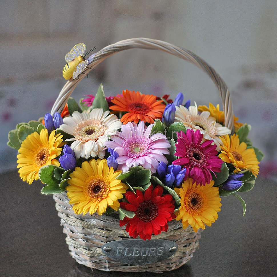 Корзина цветов Солнечная