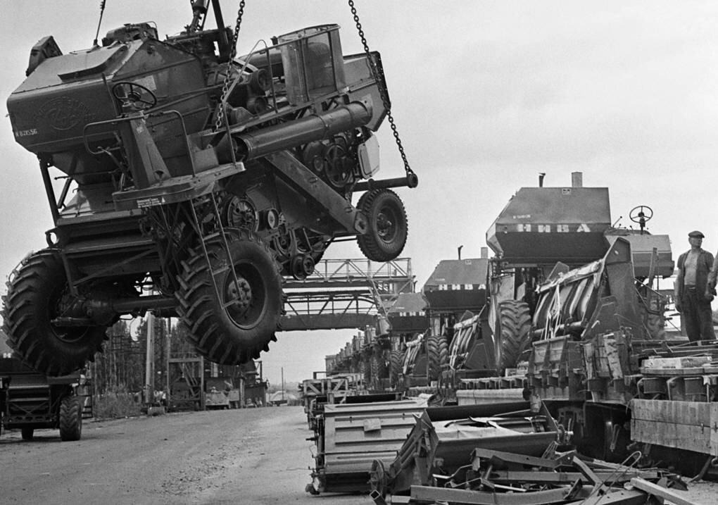 Фото из Яндекс Картинок