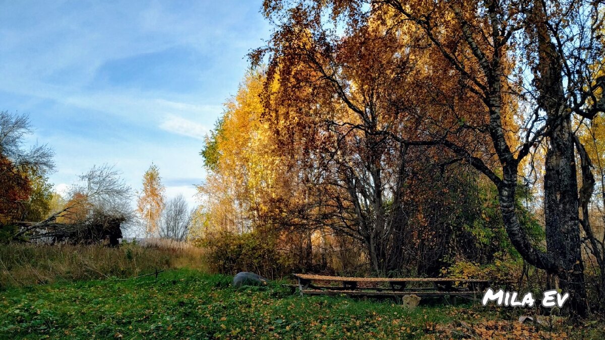 Деревня Шубино-Раменье, Подосиновский район, Кировская область. |  Путешествуем по родному краю | Дзен