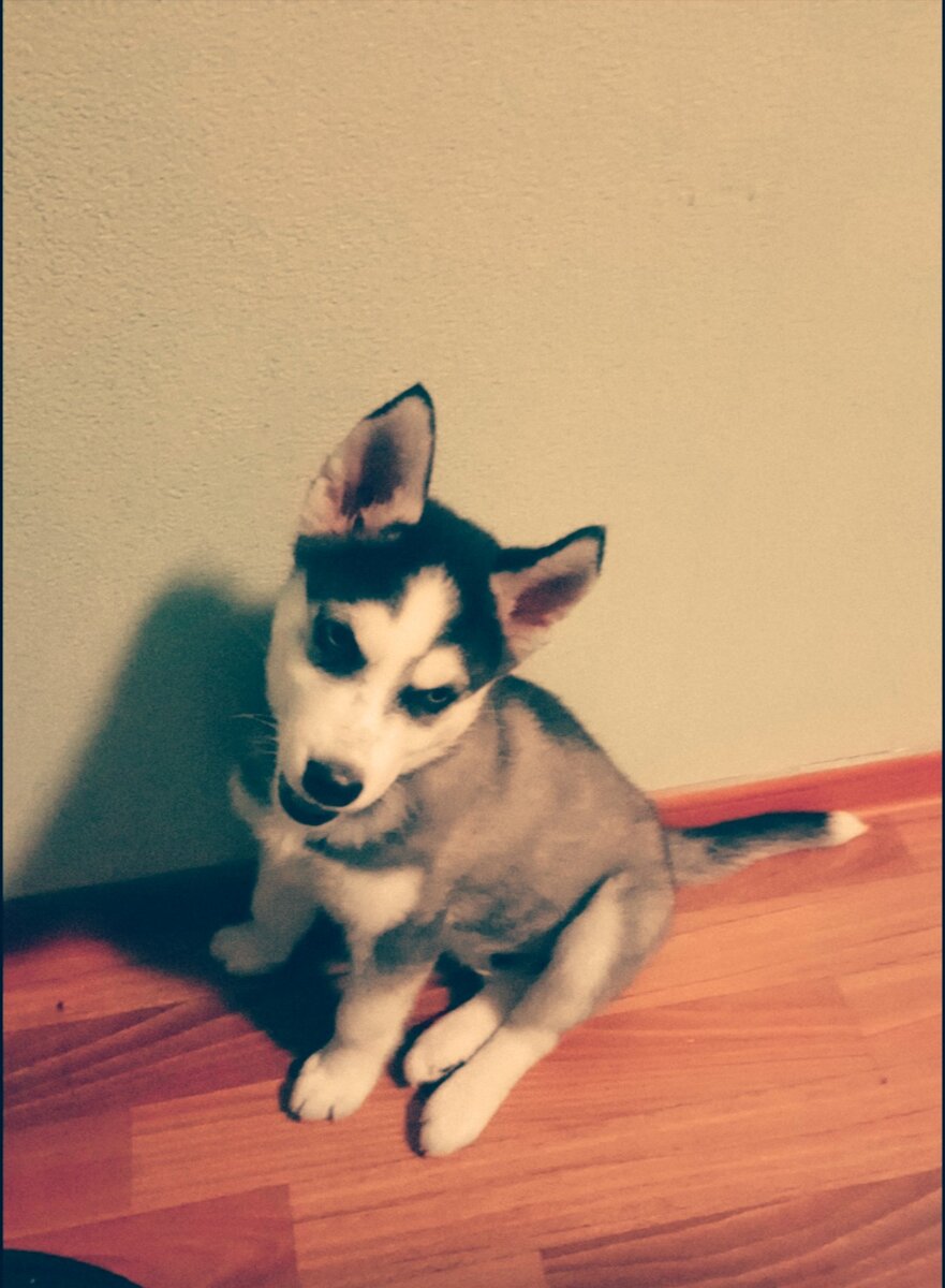 Марк, 2 месяца