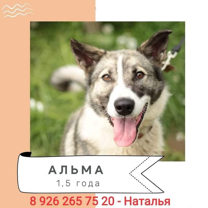 Фото Натальи Беляковой