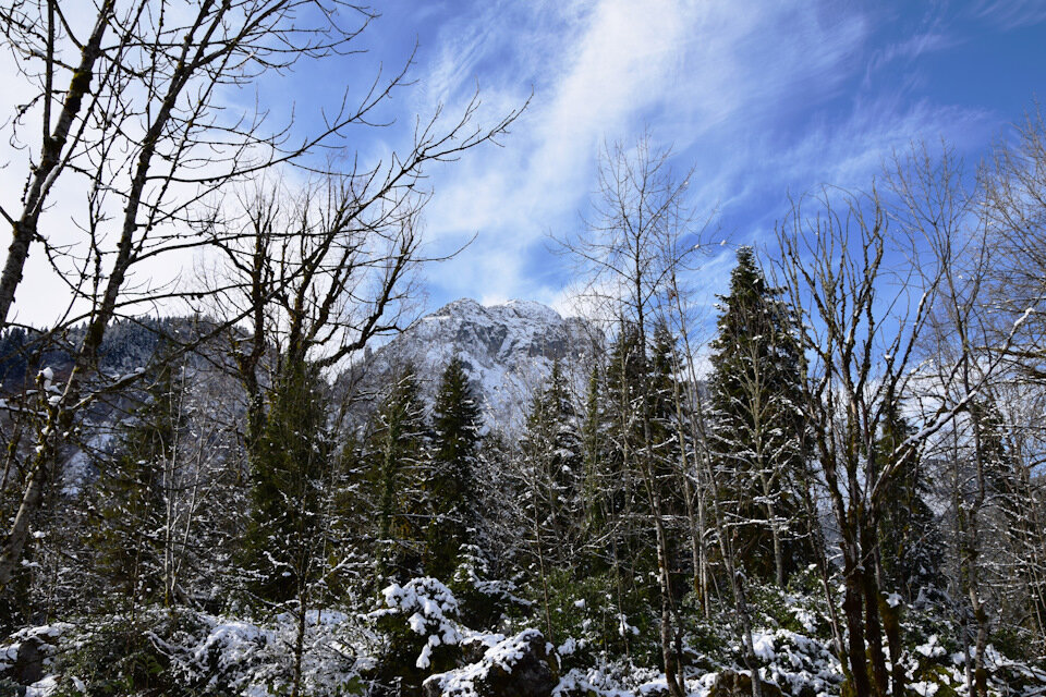 Красота 32. Абхазия зима панорама. Абхазия зима декабрь красивые фото украшенная.