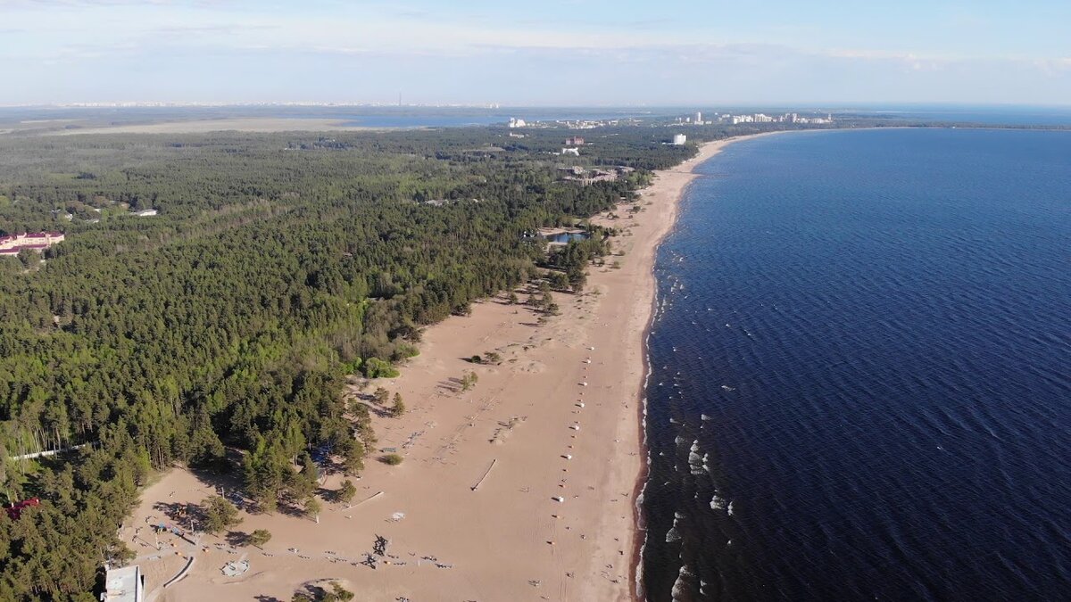 Своего дрона нет, фото заимствованно. 