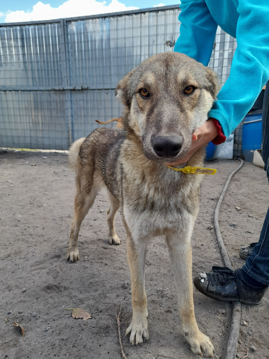 На самом деле очень ласковый ,хотя на фото серьёзный парень