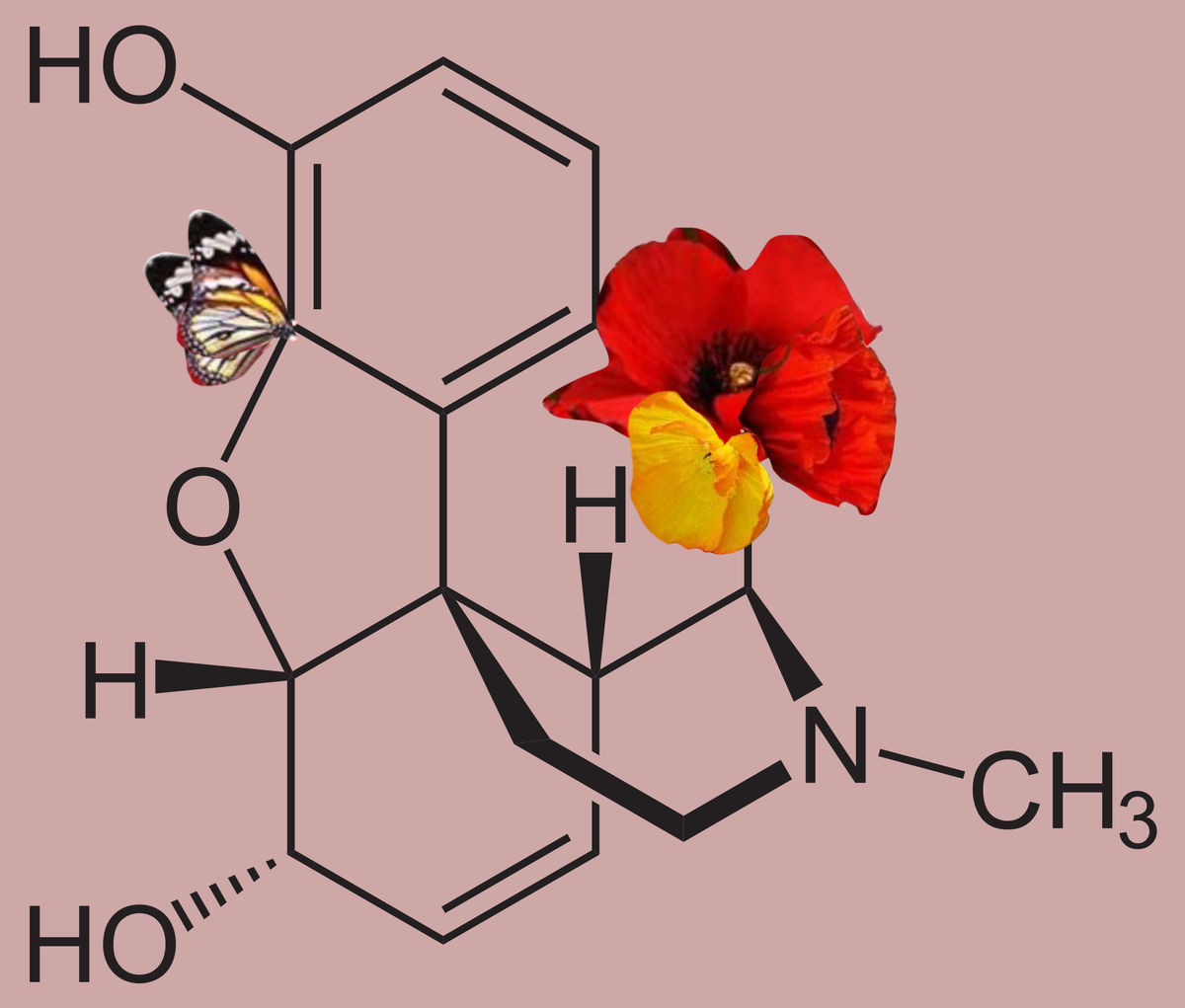 Молекула морфина