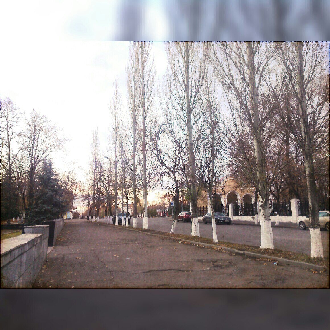 05 ноября 2015 год. 