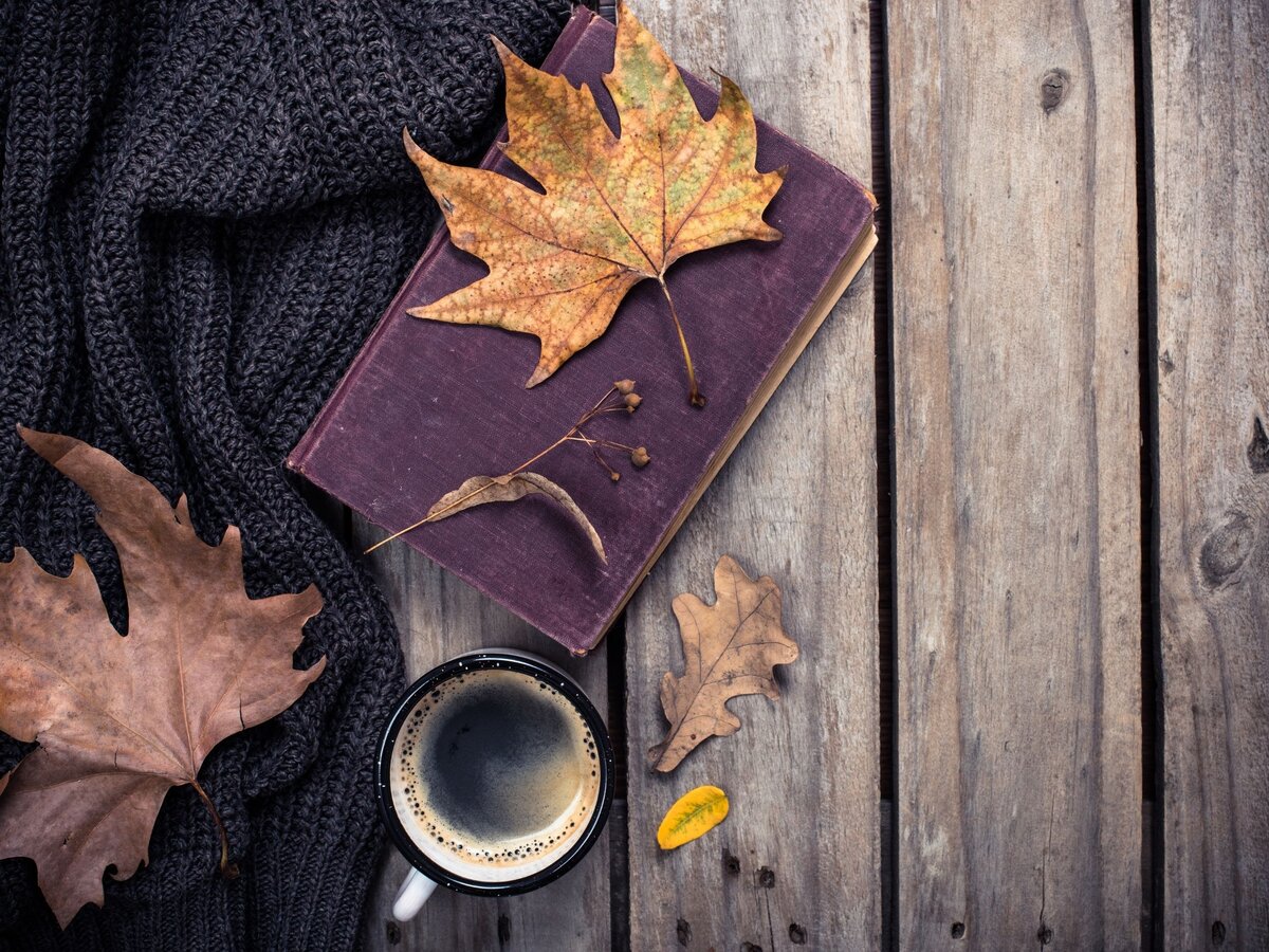 фото с сайта www.canva.com