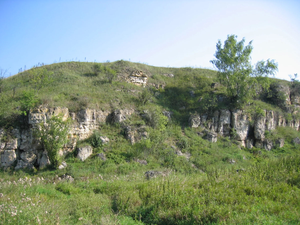 Д русская гора. Каменная гора Тульская область. Урочище каменная гора. Лес каменная гора Тульская область. Урочище "каменная гора" и Харинская пещера.