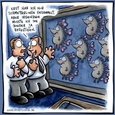 Сначала я просто собирал бабочек. Но я же должен их ещё как-то крепить. 